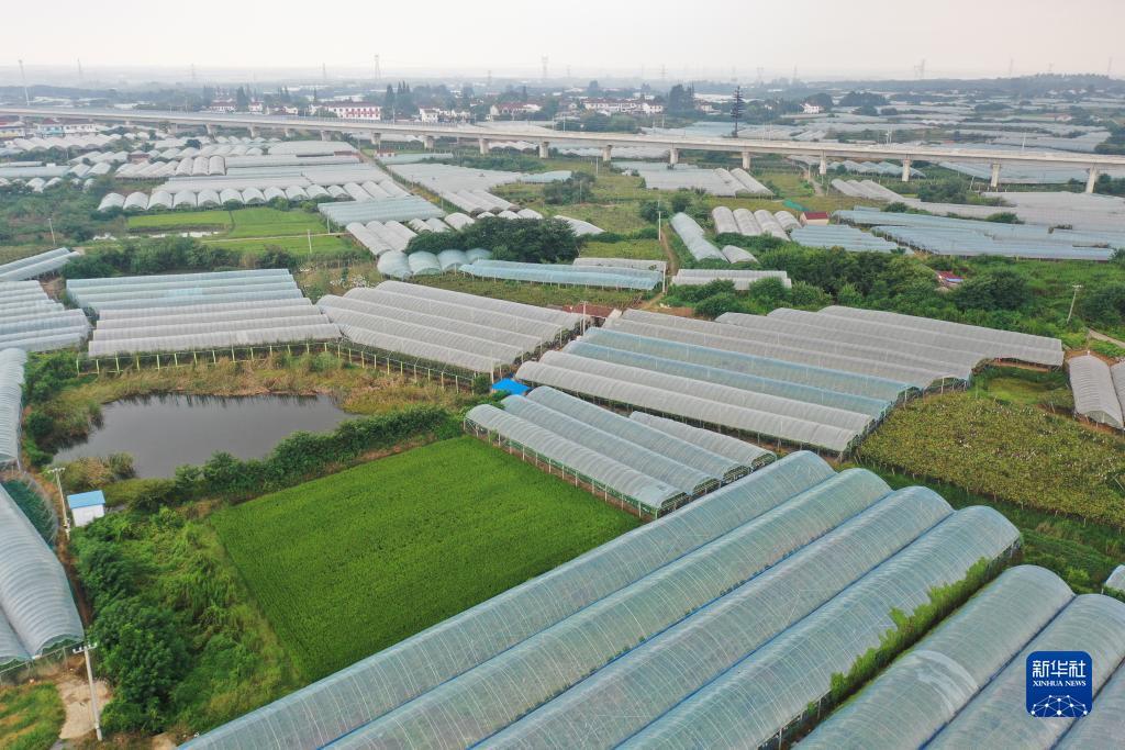 威尼斯游戏在线平台